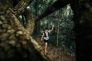 BIB: 
                            <button type="button" onclick="openModal(25667163)" class="btn btn-primary btn-sm float-right btn-popup" data-toggle="modal" data-target=".modal-high-quality">
                        <i class="fas fa-shopping-cart"></i> Add to Cart
                    </button>
                                            <button type="button" onclick="isThisMe(25667163, true)" class="btn btn-success btn-sm float-right btn-popup btn-isme hidden" data-toggle="tooltip" data-placement="bottom" title="นี่คือรูปของคุณใช่ไหม คลิกที่นี่เพื่อเอาเข้าอัลบั้ม">
                        <i class="fas fa-plus"></i> Add to album
                    </button>
                    <button type="button" onclick="isThisMe(25667163, false)" class="btn btn-warning btn-sm float-right btn-popup btn-isnotme hidden">
                        <i class="fas fa-ban"></i> Remove from album
                    </button>